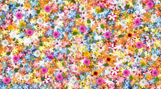 1348668 (a): :3764x2072